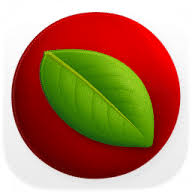 Lingon Pro 10.1.4 - for MacOS Download